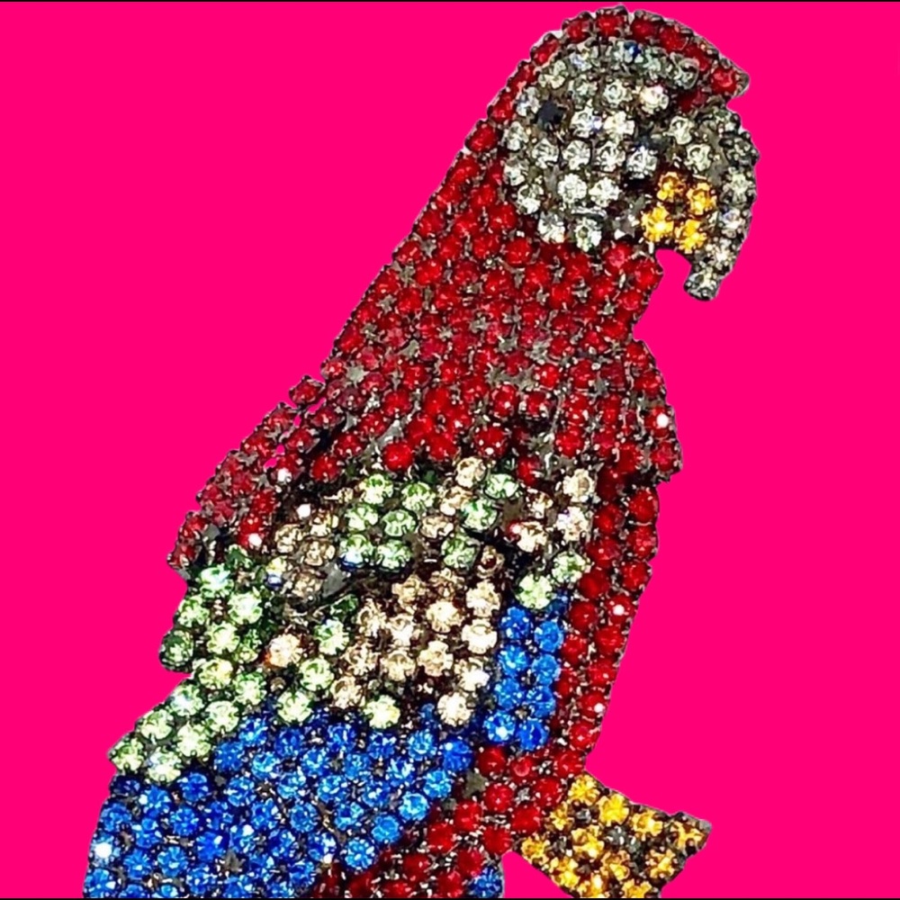 Vibrant Colorful Macaw Parrot Brooch - von Walhof